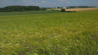Link to Video | landscape, agriculture, territorial entity, landscape element, field, landform, economic sector, nature