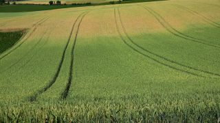 Link to Video | landscape, agriculture, territorial entity, landscape element, field, landform, economic sector, nature