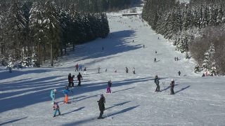 Link to Video | Rhineland-Palatinate, leisure, Germany, winter sport, winter sports practitioner, Hunsrück, Erbeskopf, skier, Mittelgebirge, snow