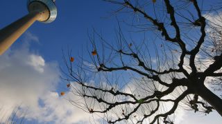 Link to Video | North Rhine-Westphalia, architecture, Düsseldorf, Germany, architectural structure
