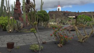 Link to Video | landscape, tourist destination, Cactaceae, landscape element, botanical garden, Jardín de Cactus, Lanzarote, Spain, tourist attraction, Canary Islands, nature, point of interest