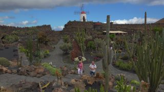 Link to Video | landscape, tourist destination, Cactaceae, landscape element, botanical garden, Jardín de Cactus, Lanzarote, Spain, tourist attraction, Canary Islands, nature, point of interest