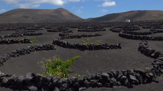 Link to Video | landscape, volcanic island, natural landscape, Spanish wine, La Geria, Lanzarote, Vitis, wine-producing region, island, viticulture, Lanzarote, Canary Islands, nature, Lanzarote