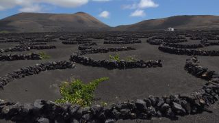 Link to Video | landscape, volcanic island, natural landscape, Spanish wine, La Geria, Lanzarote, Vitis, wine-producing region, island, viticulture, Lanzarote, Canary Islands, nature, Lanzarote
