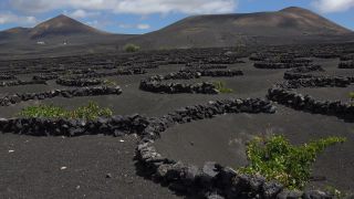 Link to Video | landscape, volcanic island, natural landscape, Spanish wine, La Geria, Lanzarote, Vitis, wine-producing region, island, viticulture, Lanzarote, Canary Islands, nature, Lanzarote