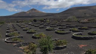 Link to Video | landscape, volcanic island, natural landscape, Spanish wine, La Geria, Lanzarote, Vitis, wine-producing region, island, viticulture, Lanzarote, Canary Islands, nature, Lanzarote