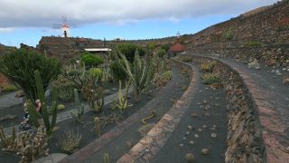 Link to Video | landscape, tourist destination, Cactaceae, landscape element, botanical garden, Jardín de Cactus, Lanzarote, Spain, tourist attraction, Canary Islands, nature, point of interest