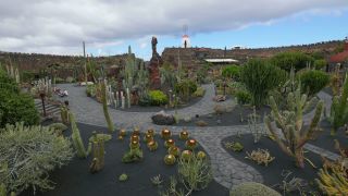 Link to Video | landscape, tourist destination, Cactaceae, landscape element, botanical garden, Jardín de Cactus, Lanzarote, Spain, tourist attraction, Canary Islands, nature, point of interest