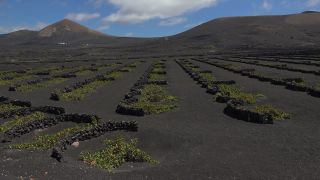 Link to Video | landscape, volcanic island, natural landscape, Spanish wine, La Geria, Lanzarote, Vitis, wine-producing region, island, viticulture, Lanzarote, Canary Islands, nature, Lanzarote