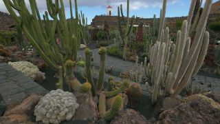 Link to Video | landscape, tourist destination, Cactaceae, landscape element, botanical garden, Jardín de Cactus, Lanzarote, Spain, tourist attraction, Canary Islands, nature, point of interest