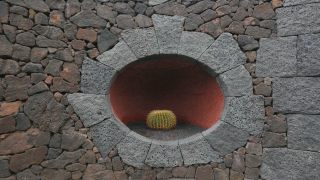 Link to Video | landscape, tourist destination, Cactaceae, landscape element, botanical garden, Jardín de Cactus, Lanzarote, Spain, tourist attraction, Canary Islands, nature, point of interest