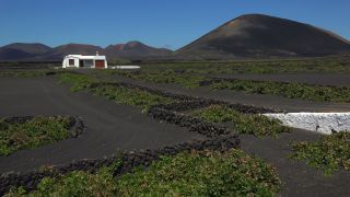 Link to Video | landscape, volcanic island, natural landscape, Spanish wine, La Geria, Lanzarote, Vitis, wine-producing region, island, viticulture, Lanzarote, Canary Islands, nature, Lanzarote