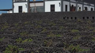 Link to Video | landscape, volcanic island, natural landscape, Spanish wine, La Geria, Lanzarote, Vitis, wine-producing region, island, viticulture, Lanzarote, Canary Islands, nature, Lanzarote