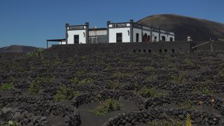 Link to Video | landscape, volcanic island, natural landscape, Spanish wine, La Geria, Lanzarote, Vitis, wine-producing region, island, viticulture, Lanzarote, Canary Islands, nature, Lanzarote