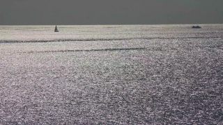 Link to Video