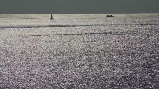 Link to Video