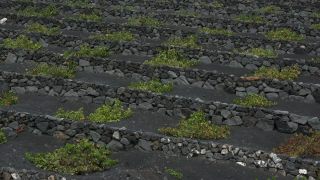 Link to Video | volcanic island, Lanzarote, Spain, Canary Islands