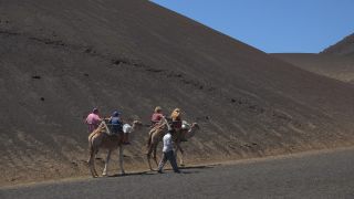 Link to Video | volcanic island, vacation, tourist destination, Camelidae, Timanfaya National Park, leisure, Lanzarote, Spain, tourism, tourist, tourist attraction, Canary Islands, paid time off