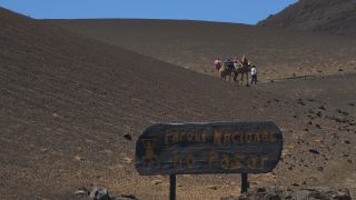 Link to Video | volcanic island, vacation, tourist destination, Camelidae, Timanfaya National Park, leisure, Lanzarote, Spain, tourism, tourist, tourist attraction, Canary Islands, paid time off