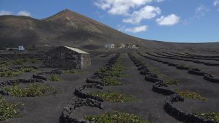 Link to Video | landscape, volcanic island, Lanzarote, island, Spain, Canary Islands, nature