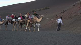 Link to Video | volcanic island, vacation, tourist destination, Camelidae, Timanfaya National Park, leisure, Lanzarote, Spain, tourism, tourist, tourist attraction, Canary Islands, paid time off
