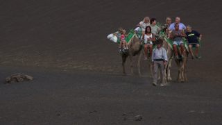 Link to Video | volcanic island, vacation, tourist destination, Camelidae, Timanfaya National Park, leisure, Lanzarote, Spain, tourism, tourist, tourist attraction, Canary Islands, paid time off
