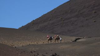Link to Video | volcanic island, vacation, tourist destination, Camelidae, Timanfaya National Park, leisure, Lanzarote, Spain, tourism, tourist, tourist attraction, Canary Islands, paid time off