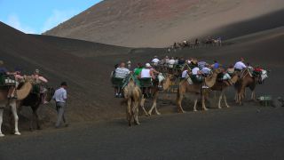 Link to Video | volcanic island, vacation, tourist destination, Camelidae, Timanfaya National Park, leisure, Lanzarote, Spain, tourism, tourist, tourist attraction, Canary Islands, paid time off