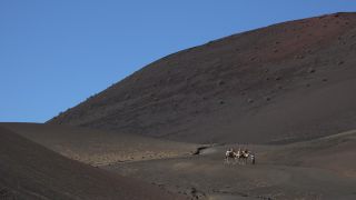 Link to Video | volcanic island, vacation, tourist destination, Camelidae, Timanfaya National Park, leisure, Lanzarote, Spain, tourism, tourist, tourist attraction, Canary Islands, paid time off