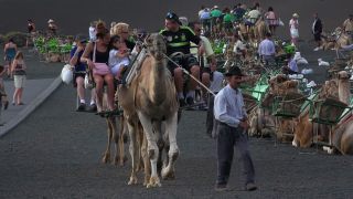 Link to Video | volcanic island, vacation, tourist destination, Camelidae, Timanfaya National Park, leisure, Lanzarote, Spain, tourism, tourist, tourist attraction, Canary Islands, paid time off