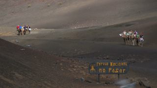 Link to Video | volcanic island, vacation, tourist destination, Camelidae, Timanfaya National Park, leisure, Lanzarote, Spain, tourism, tourist, tourist attraction, Canary Islands, paid time off