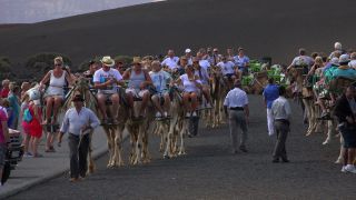 Link to Video | volcanic island, vacation, tourist destination, Camelidae, Timanfaya National Park, leisure, Lanzarote, Spain, tourism, tourist, tourist attraction, Canary Islands, paid time off