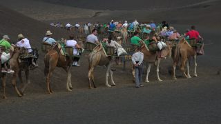 Link to Video | volcanic island, vacation, tourist destination, Camelidae, Timanfaya National Park, leisure, Lanzarote, Spain, tourism, tourist, tourist attraction, Canary Islands, paid time off