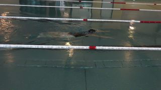 Link to Video | sports venue, swimming place, architecture, swimming pool, swimming center, swimming, indoor swimming pool, leisure facility, water sport, human-made geographic feature, architectural structure