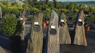 Link to Video | tree, plant nursery, economy, operation, heraldic plant, botany, supply, plant, woody plant, nature