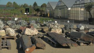 Link to Video | tree, plant nursery, economy, operation, heraldic plant, botany, supply, plant, woody plant, nature