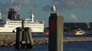 Link to Video | Mecklenburg-Western Pomerania, tourist destination, Germany, Rostock, Warnemünde, port, Baltic Sea, tourism destination