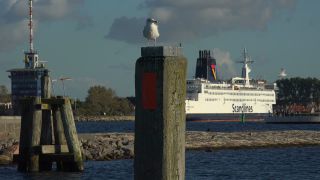 Link to Video | Mecklenburg-Western Pomerania, tourist destination, Germany, Rostock, Warnemünde, port, Baltic Sea, tourism destination