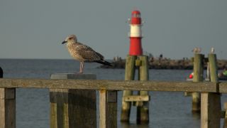 Link to Video | Mecklenburg-Western Pomerania, tourist destination, Germany, Rostock, Warnemünde, port, Baltic Sea, tourism destination