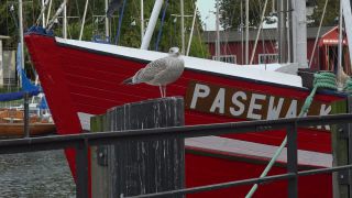 Link to Video | Mecklenburg-Western Pomerania, tourist destination, Germany, Rostock, Warnemünde, port, Baltic Sea, tourism destination