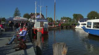 Link to Video | Mecklenburg-Western Pomerania, tourist destination, Germany, Zingst, tourism, Baltic Sea, Zingst