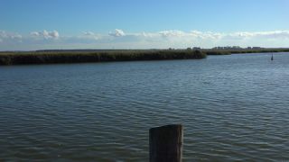 Link to Video | Mecklenburg-Western Pomerania, tourist destination, Germany, Zingst, tourism, Baltic Sea, Zingst