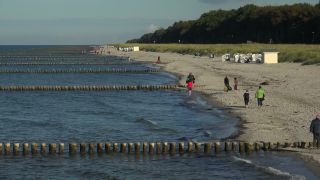 Link to Video | Mecklenburg-Western Pomerania, tourist destination, Germany, Zingst, tourism, Baltic Sea, Zingst