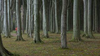 Link to Video | Mecklenburg-Western Pomerania, tourist destination, Germany
