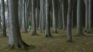 Link to Video | Mecklenburg-Western Pomerania, tourist destination, Germany