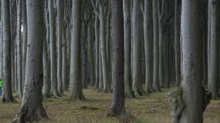 Link to Video | Mecklenburg-Western Pomerania, tourist destination, Germany