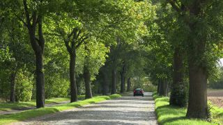 Link to Video | Mecklenburg-Western Pomerania, tourist destination, Germany