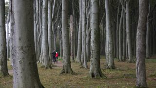 Link to Video | Mecklenburg-Western Pomerania, tourist destination, Germany
