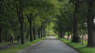 Link to Video | Mecklenburg-Western Pomerania, tourist destination, Germany