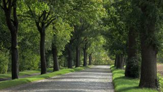 Link to Video | Mecklenburg-Western Pomerania, tourist destination, Germany